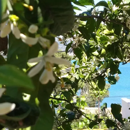 Apartman Nely - Sea, Terrace And Peace