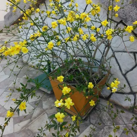 Apartman Nely - Sea, Terrace And Peace *