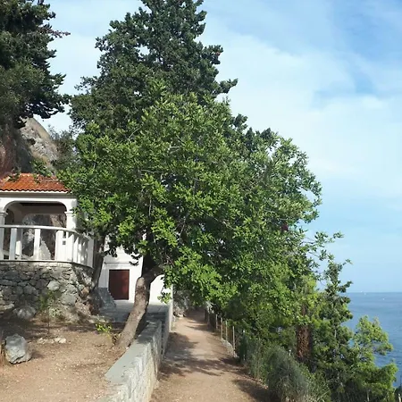 Nely - Sea, Terrace And Peace