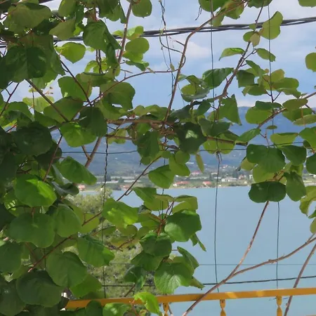 Nely - Sea, Terrace And Peace * 特罗吉尔
